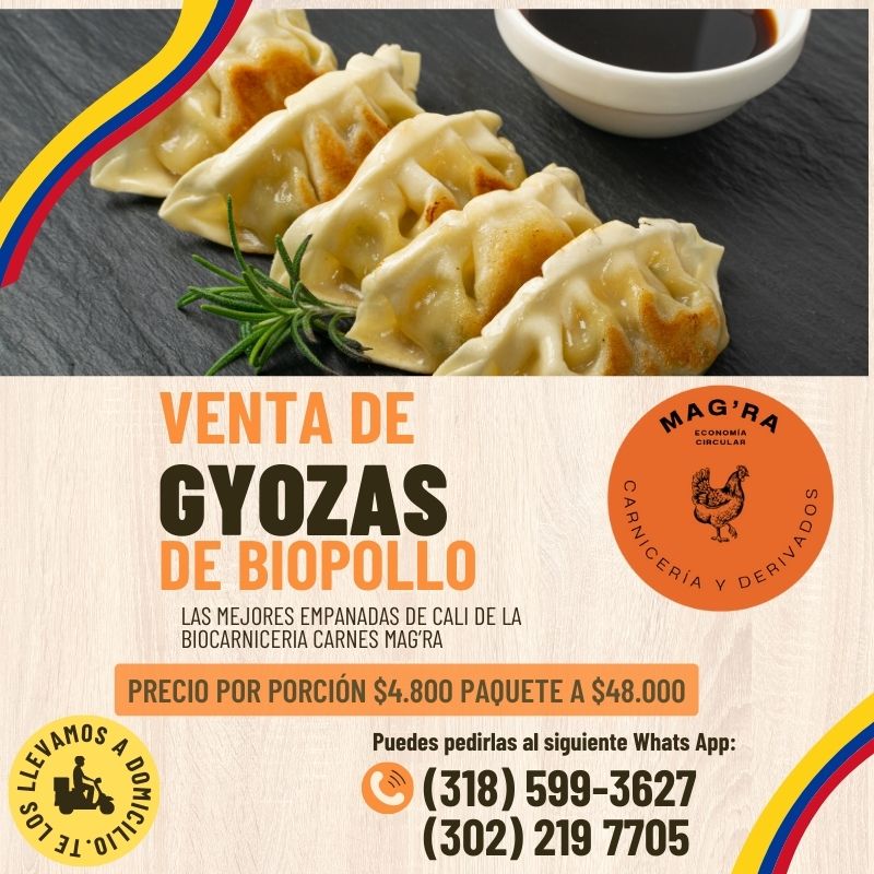 Pack Saludable de 10 Gyozas Bio-Pollo Circular con Impacto Social
